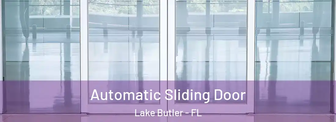  Automatic Sliding Door Lake Butler - FL