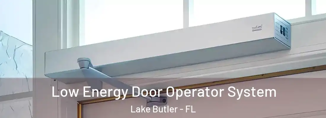  Low Energy Door Operator System Lake Butler - FL